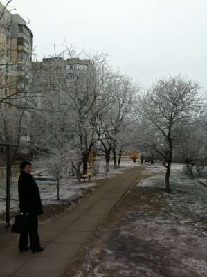 Winter Mystery 2.jpg