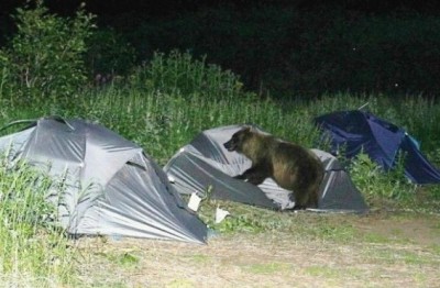 367727.jpg (64.7 KiB) Просмотров: 1184 367727.jpg