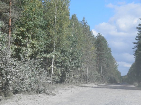 P9250677.JPG (232.93 KiB) Просмотров: 4027 P9250677.JPG