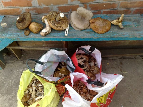 Улов.jpg (114.39 KiB) Просмотров: 1936 Улов.jpg