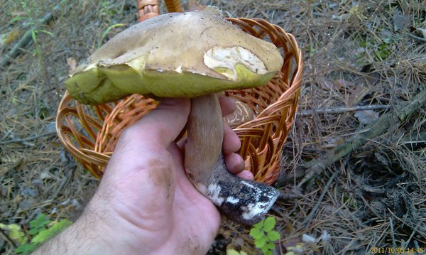 IMAG1230+.jpg (283.72 KiB) Просмотров: 1919 IMAG1230+.jpg