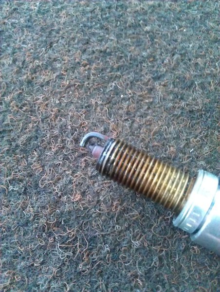 IMAG0235.jpg (183.43 KiB) Просмотров: 7948 IMAG0235.jpg