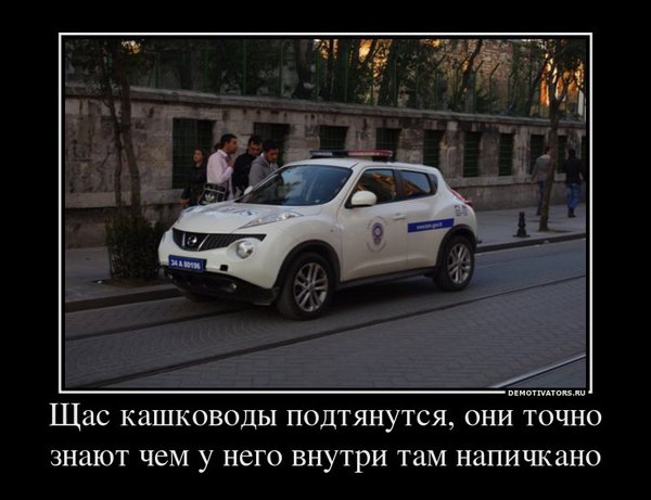 281796_schas-kashkovodyi-podtyanutsya-oni-tochno-znayut-chem-u-nego-vnutri-tam-napichkano_demotivators_ru.jpg