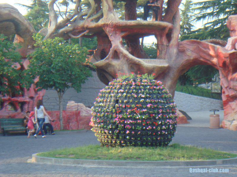 tn DSC05128