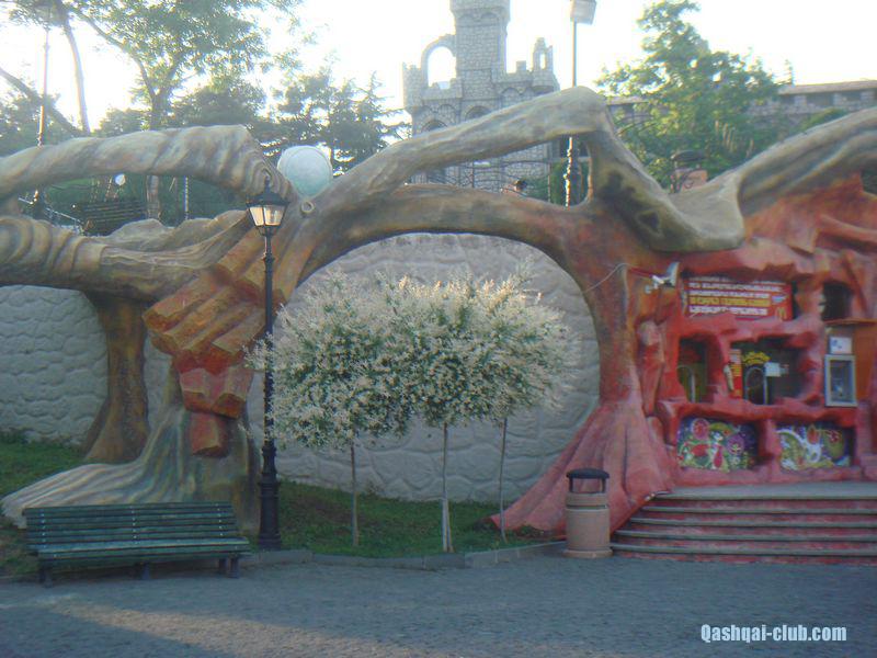 tn DSC05129