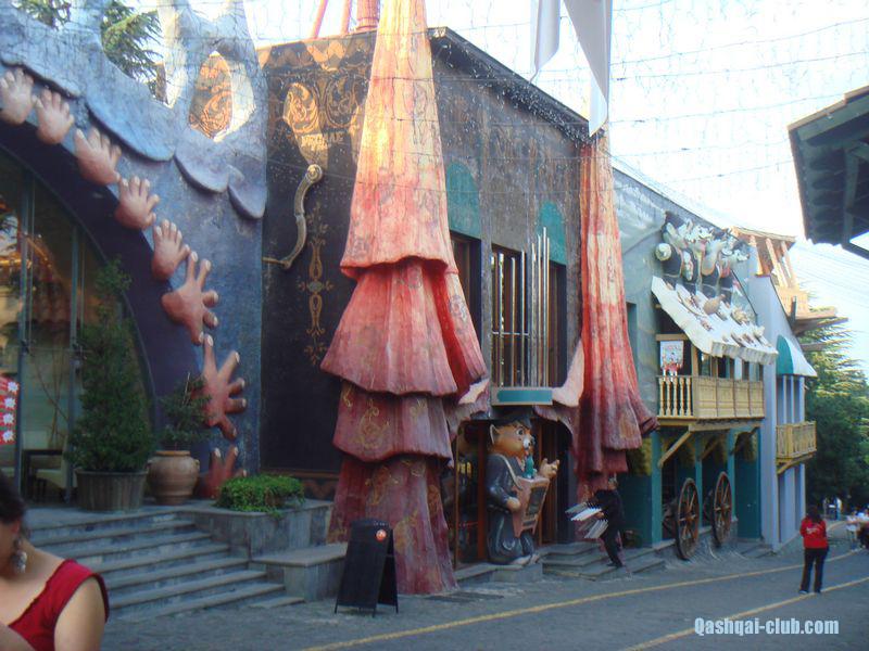 tn DSC05130