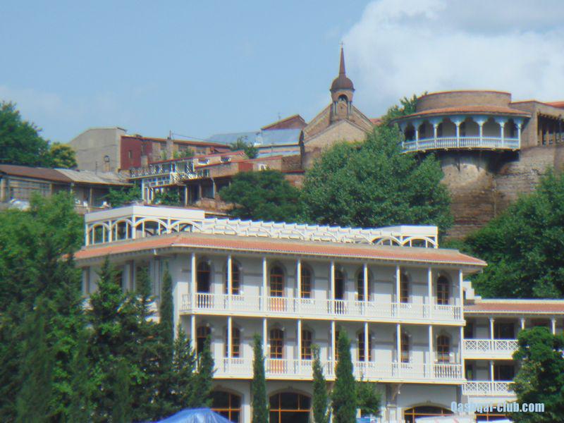 tn DSC05166