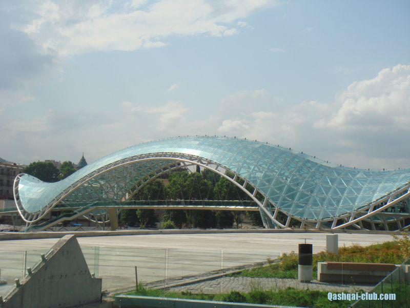 tn DSC05167