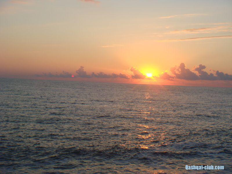 tn DSC05309