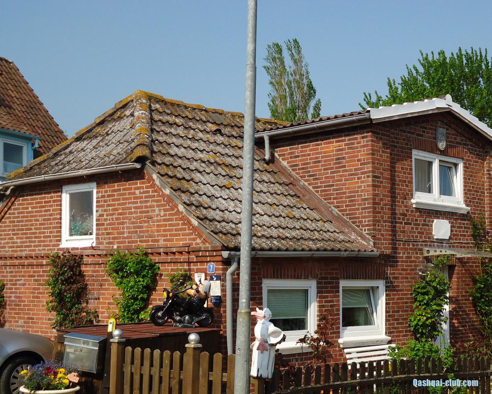 DSC03089