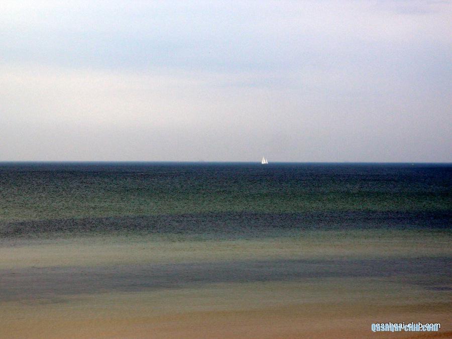 P7298066