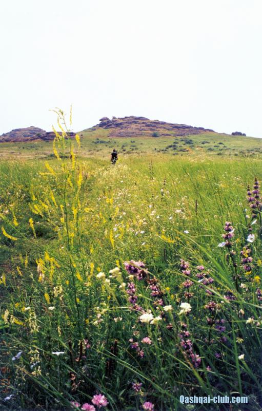 KamjaniMogyly-tropa-do-golovnoiVershyny