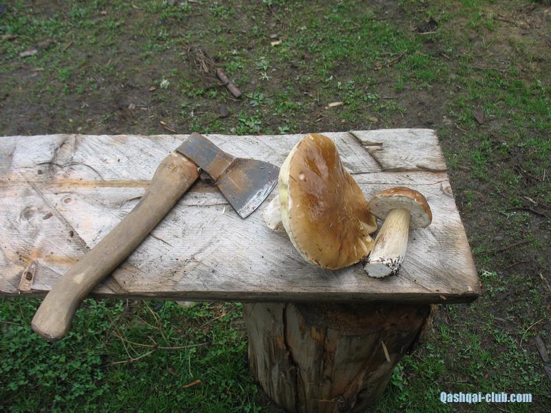 2013-07 14-21-Karpaty 034