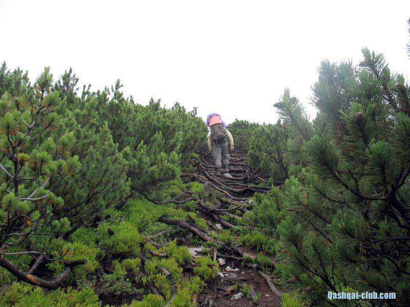 2013-07 14-21-Karpaty 058