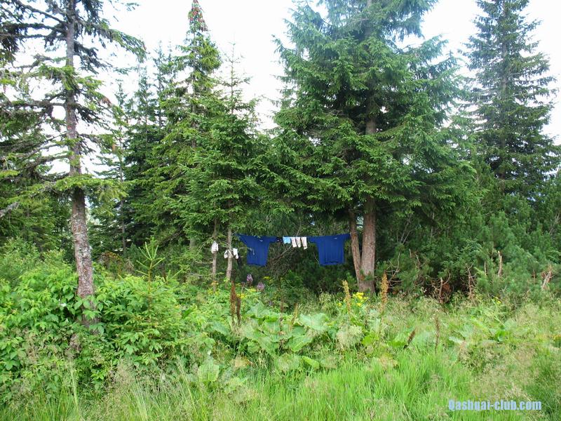 2013-07 14-21-Karpaty 109