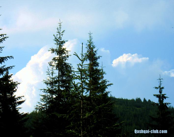 2013-07 14-21-Karpaty 114