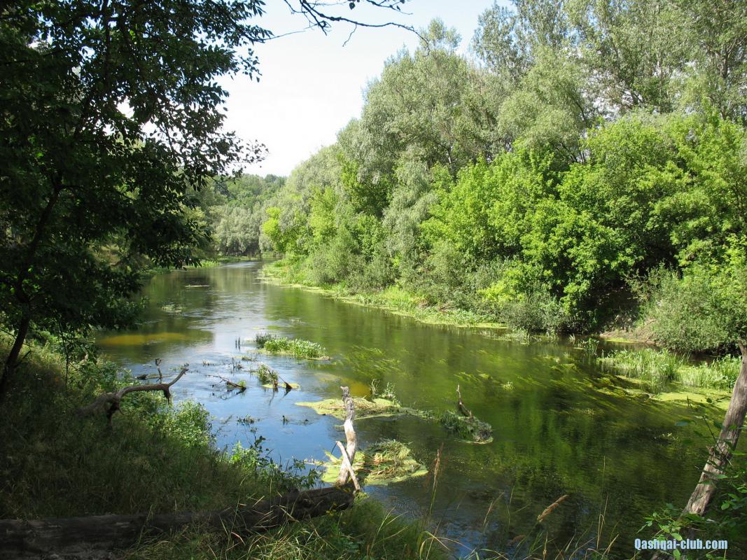 091-NoviSanzhary-Vorskla