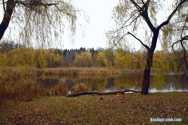 Osin-dendropark68