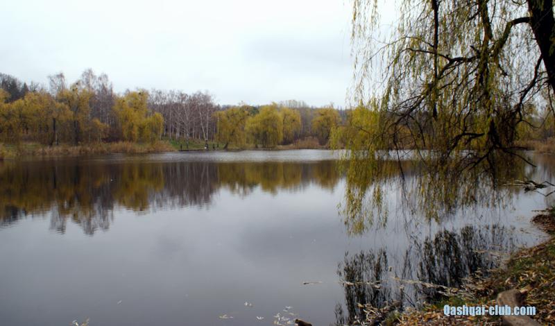 Osin-dendropark71