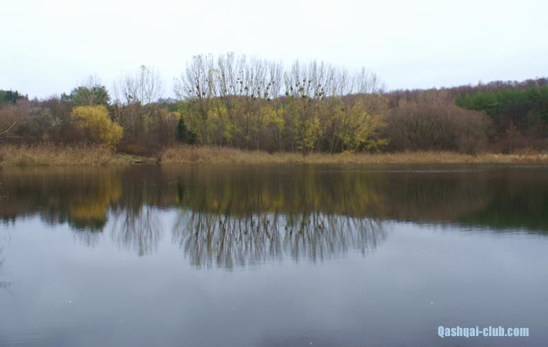 Osin-dendropark77