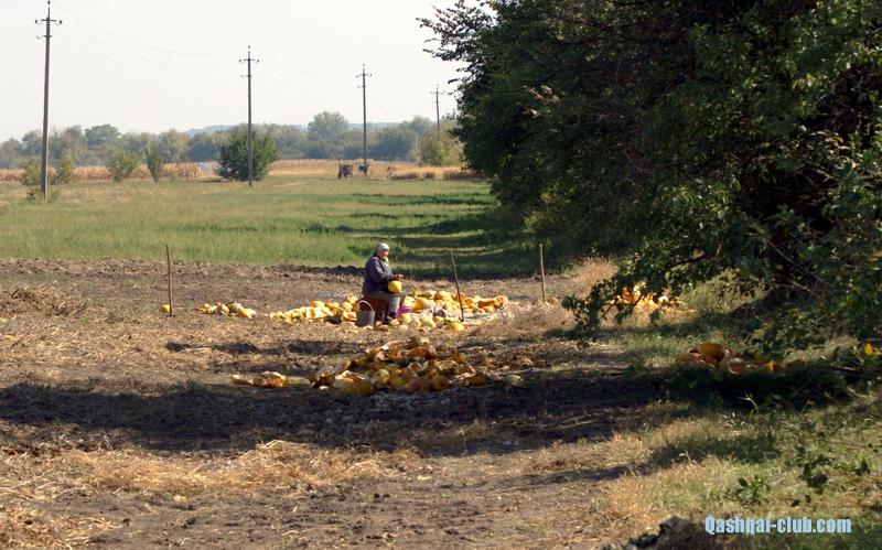 008-Ukr-Moldova-GC-babca