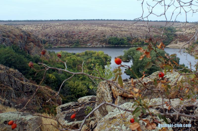 223-Ukr-Moldova-Gard-shypshyna