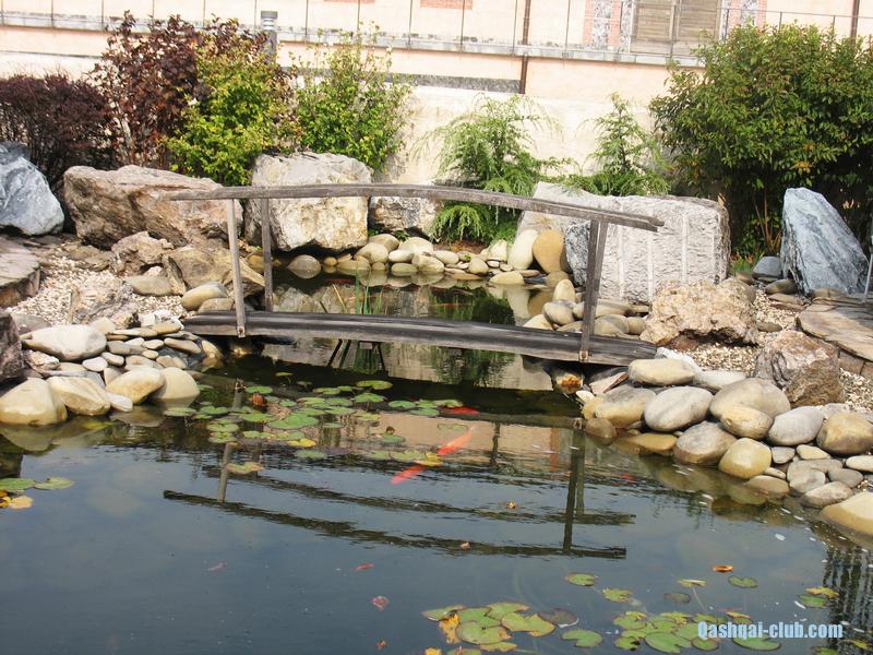 331-Ukr-Moldova-Shabo-dvor-prud