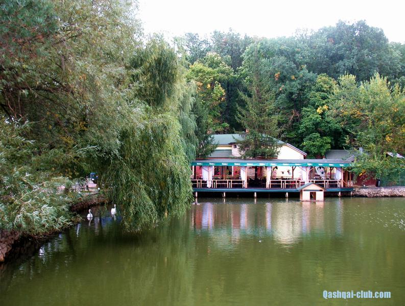 471-Ukr-Moldova-restoran