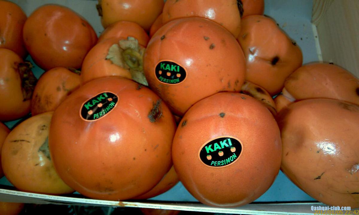 kaki