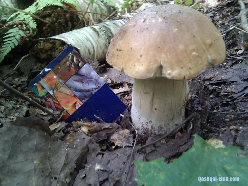 IMG 20120914 141010