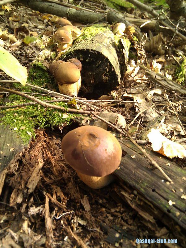 IMG 20120914 152006