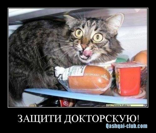 0 6b7d4 a5a2e7a6 L