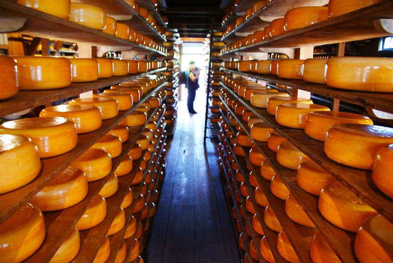 Голландия на яхте 17