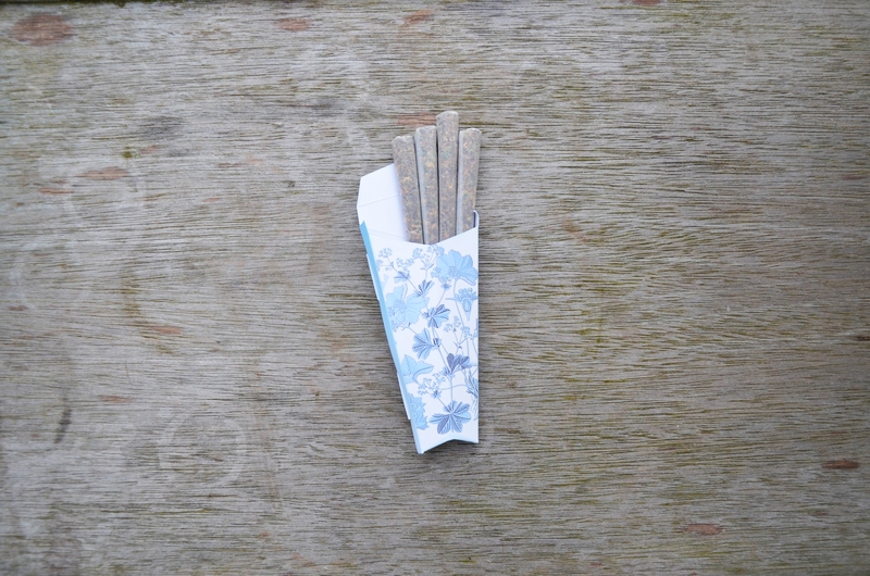 Голландия на яхте 59