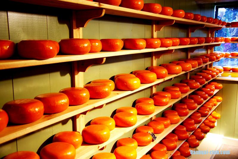 Голландия на авто 43